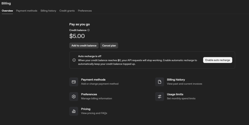 Open AI credit balance showing no personal info